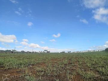 Terrain