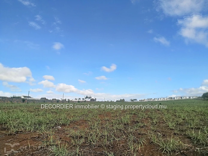 Magnificent land for real estate development / investor