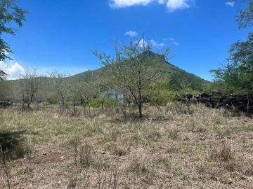Residential Land