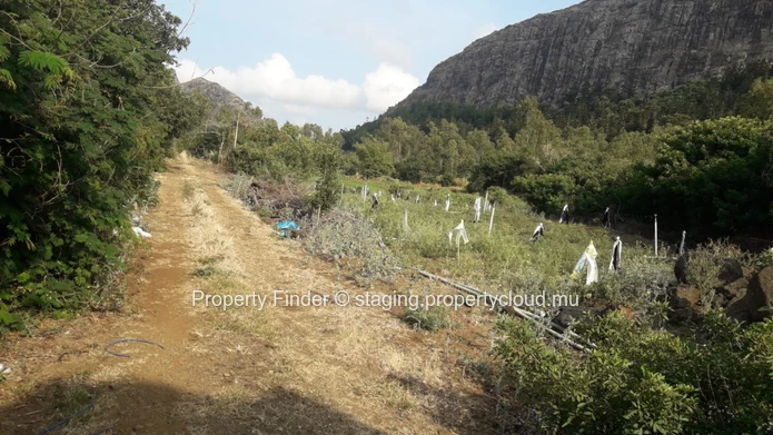 Residential Land for Sale in the Grand Port District