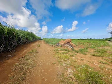 Agricultural Land