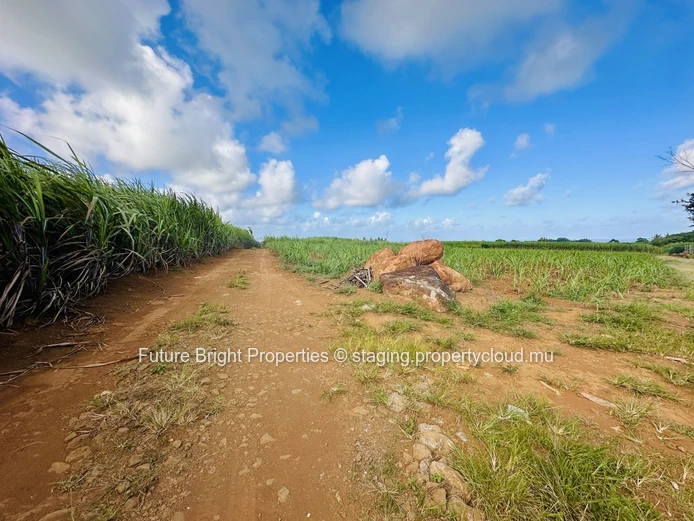 Terrain Agricole Paisible à Proximité de l’Aéroport – Une Opportunité Unique en Pleine Nature