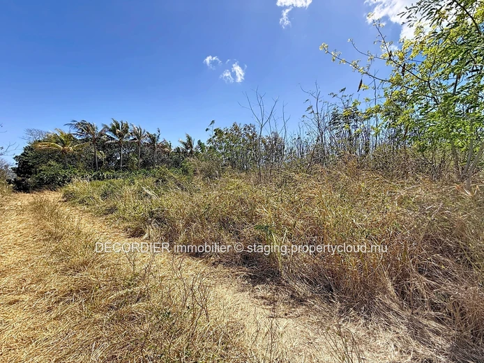 À vendre – Terrain agricole à Grand Baie, La Salette
