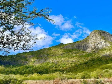 Land