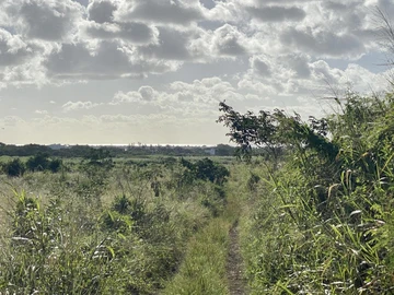 Agricultural Land