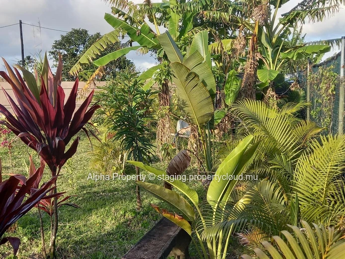 Elegant house to let at Verdun