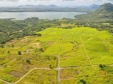 Agricultural Land