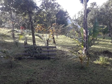 Agricultural Land