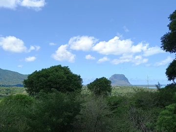 Residential Land