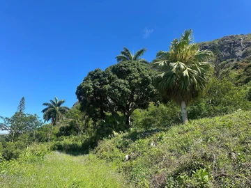 Residential Land