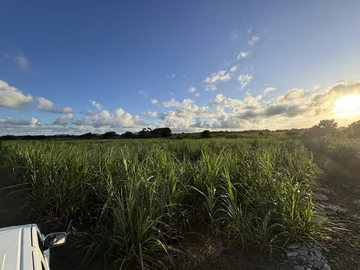 Agricultural Land