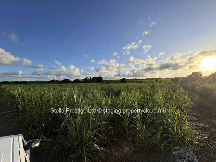 Terrain agricole de 2 110m² à vendre à Mont Ida, Quartier Militaire - Seulement Rs!