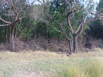 Residential Land