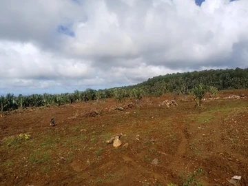 Terrain Agricole