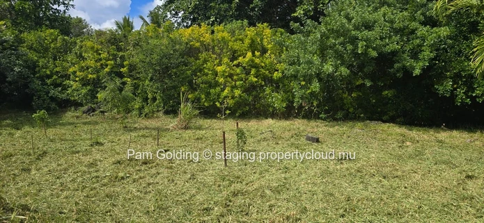 Piton – Land for sale – Pam Golding Mauritius
