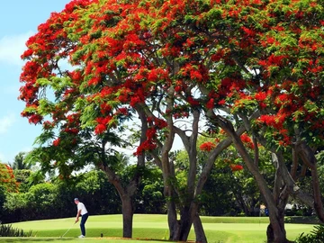 8 Bedroom House