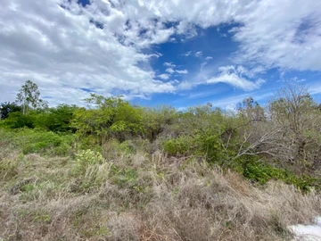Residential Land