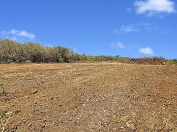 Land
