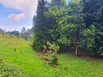 Commercial Land