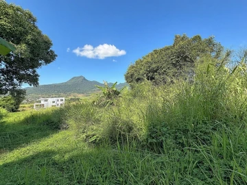 Terrain