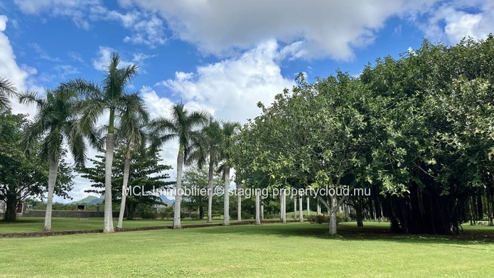 Luxurious Furnished Apartment with Pool in Balaclava