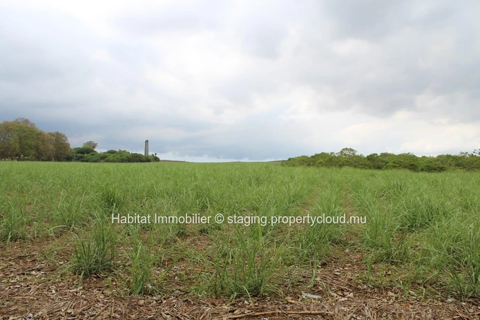  A VENDRE - Terrain agricole de 4 arpents sur la route principale à Petite Julie.