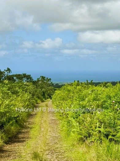 Agricultural Land For Sale In Bois Cheri