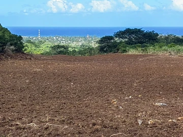 Agricultural Land