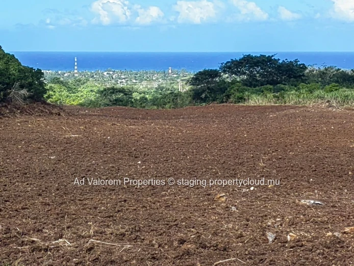 Grand Terrain Agricole à Vendre – Martinière, Surinam – Vue Panoramique & Cadre Naturel