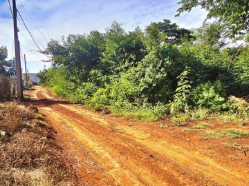 Commercial Land