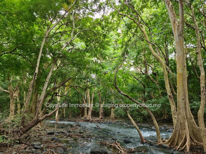 Terrain résidentiel à vendre à Tamarin, 29.546m², caractéristiques générales LP, proche hôpital et magasins €.