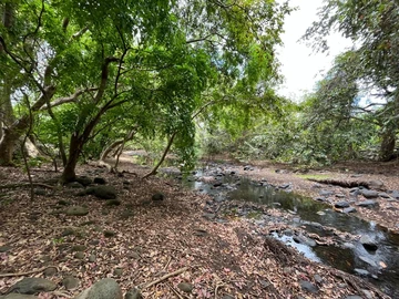 Commercial Land
