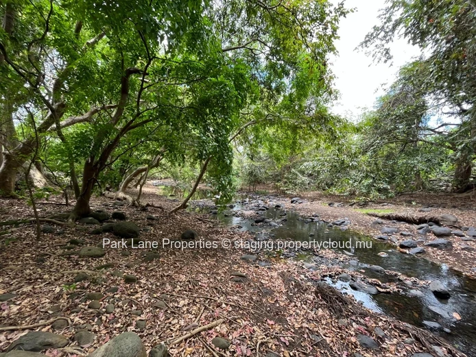 Riverfront Paradise in Black River – A Rare Opportunity