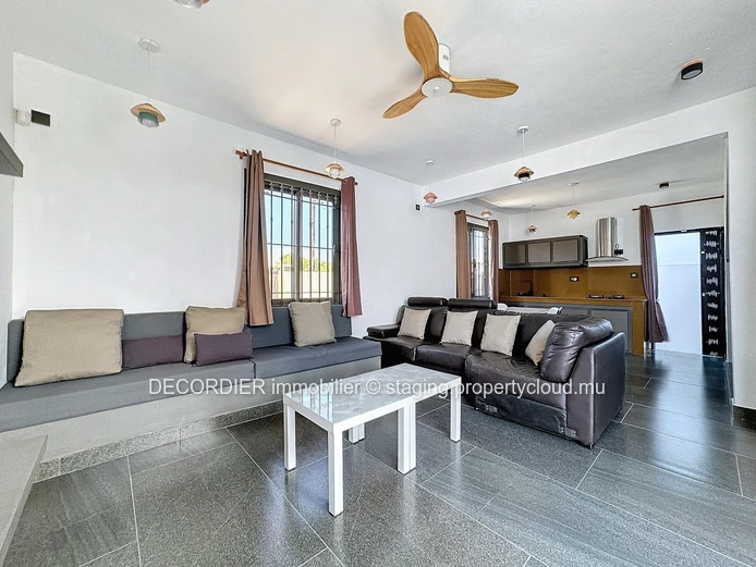 Large detached house with swimming pool