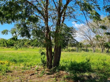 Agricultural Land