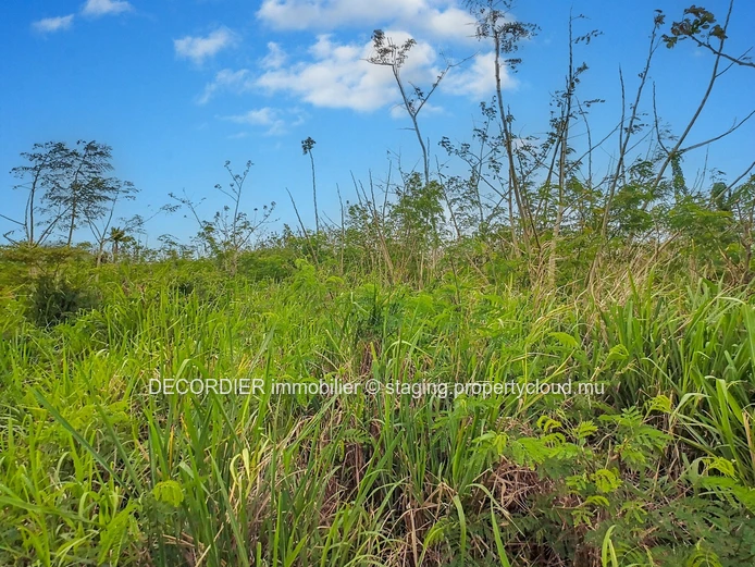 À Vendre Baie Du Tombeau Terrain Agricole