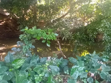 Agricultural Land