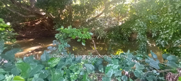 D'Epinay close to Pamplemousse Agricultural freehold plot of land 18572 sqm. River. Lichtis plantation. Water & Elect... (Sole Mandate)