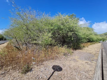 Residential Land
