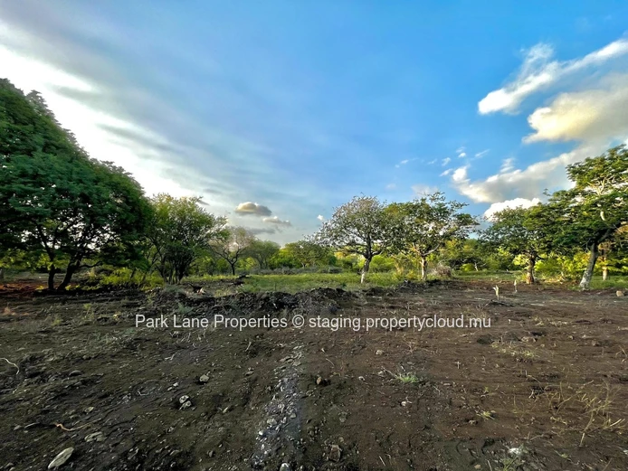 Rare Development Opportunity – 3,540 m² Plot for Up to 3 Single-Storey Villas in Domaine de Palmyre