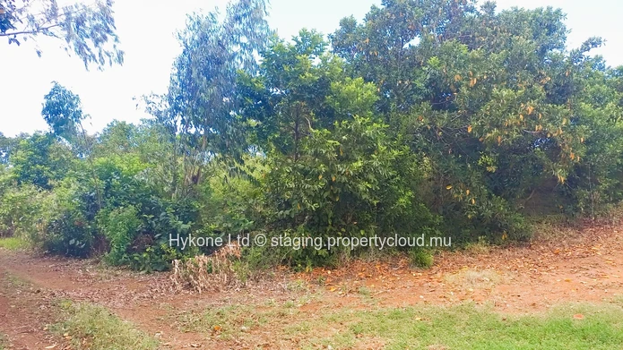 Agricultural Land For Sale In Mare D'Albert