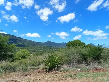Residential Land