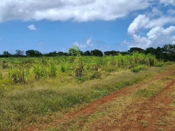 Terrain Agricole