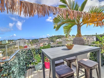 2 Bedroom Penthouse
