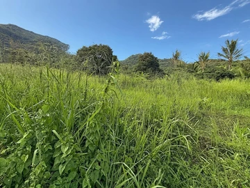 Terrain