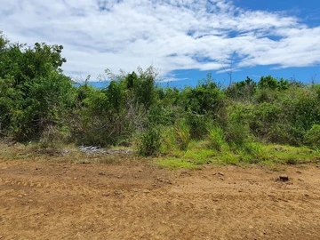 Terrain Agricole