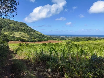 Agricultural Land