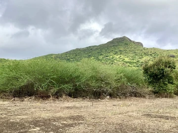 Terrain Résidentiel