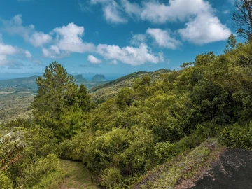 Residential Land