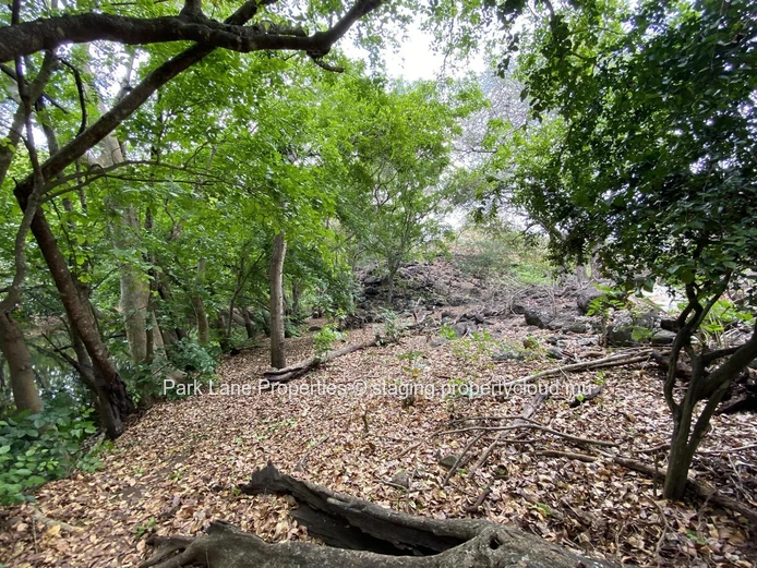Parcelle paisible dans un domaine privé à Tamarin avec rivière et vue sur les montagnes
